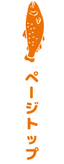 ページトップに戻る