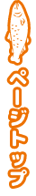 ページトップに戻る