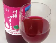 〈宮古市〉道の駅 やまびこ館